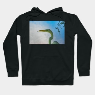 Great egret of Florida Hoodie